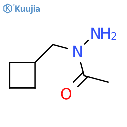 N-(cyclobutylmethyl)acetohydrazide structure