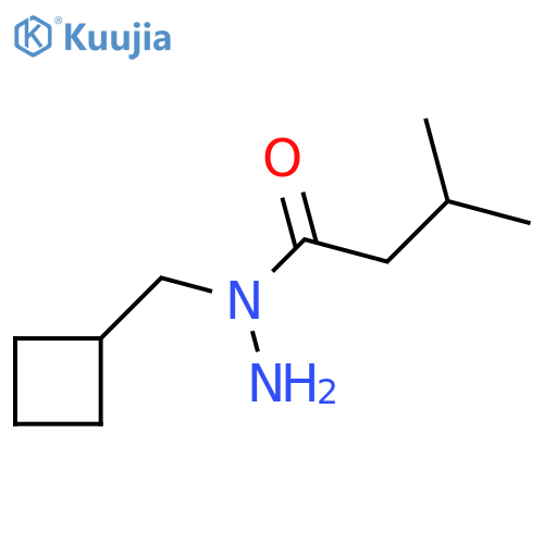 N-(cyclobutylmethyl)-3-methylbutanehydrazide structure