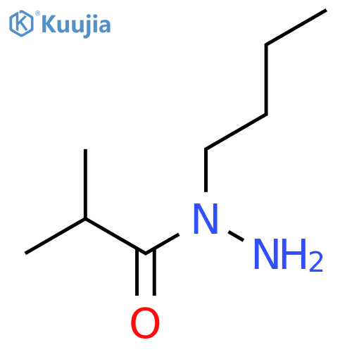 N-butyl-2-methylpropanehydrazide structure