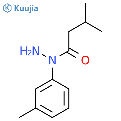 3-methyl-N-(3-methylphenyl)butanehydrazide structure