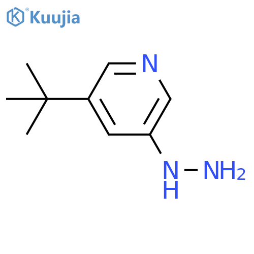 3-(tert-Butyl)-5-hydrazinylpyridine structure