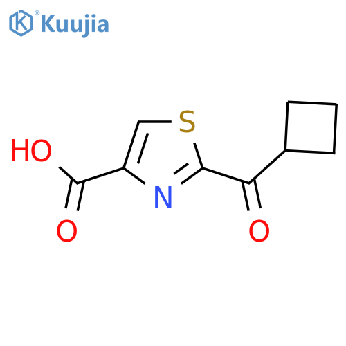 2-cyclobutanecarbonyl-1,3-thiazole-4-carboxylic acid structure