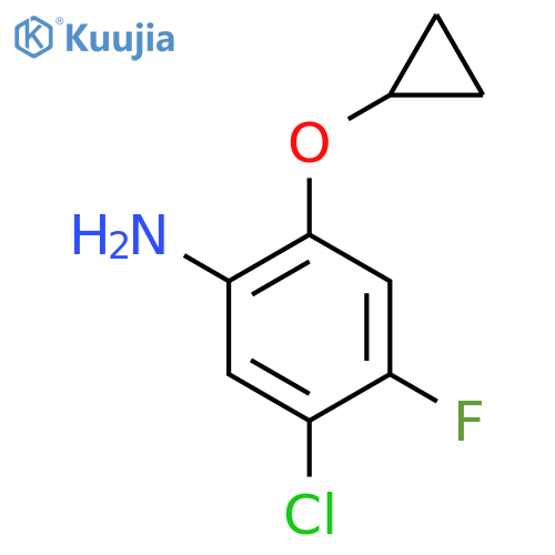 5-chloro-2-cyclopropoxy-4-fluoroaniline structure