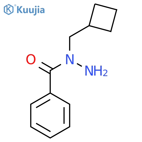 N-(cyclobutylmethyl)benzohydrazide structure