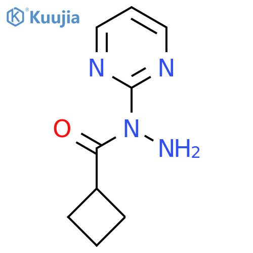 N-(pyrimidin-2-yl)cyclobutanecarbohydrazide structure
