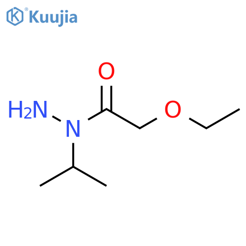 2-ethoxy-N-(propan-2-yl)acetohydrazide structure