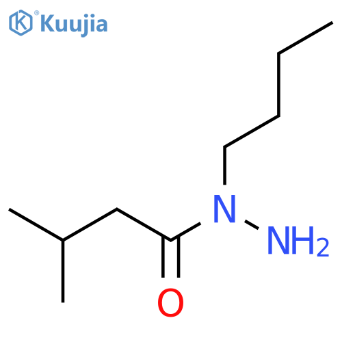 N-butyl-3-methylbutanehydrazide structure