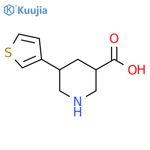 5-(thiophen-3-yl)piperidine-3-carboxylic acid structure