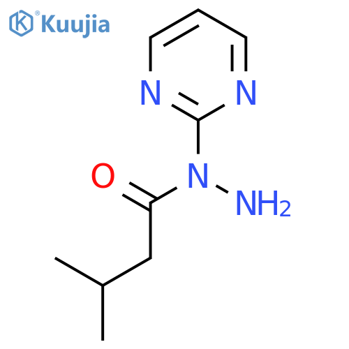 3-methyl-N-(pyrimidin-2-yl)butanehydrazide structure