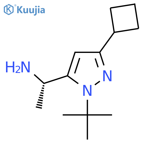(1S)-1-(1-tert-butyl-3-cyclobutyl-1H-pyrazol-5-yl)ethan-1-amine structure