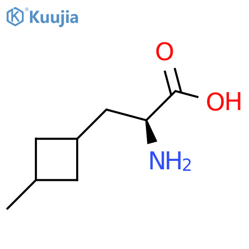 (2S)-2-amino-3-(3-methylcyclobutyl)propanoic acid structure