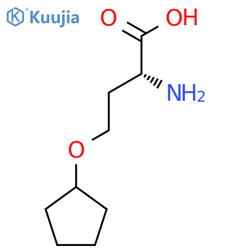 (2R)-2-amino-4-(cyclopentyloxy)butanoic acid structure