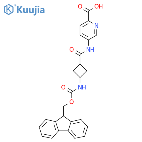 5-(1s,3s)-3-({(9H-fluoren-9-yl)methoxycarbonyl}amino)cyclobutaneamidopyridine-2-carboxylic acid structure