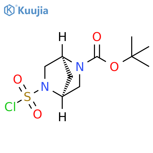 tert-butyl (1S,4S)-5-(chlorosulfonyl)-2,5-diazabicyclo2.2.1heptane-2-carboxylate structure