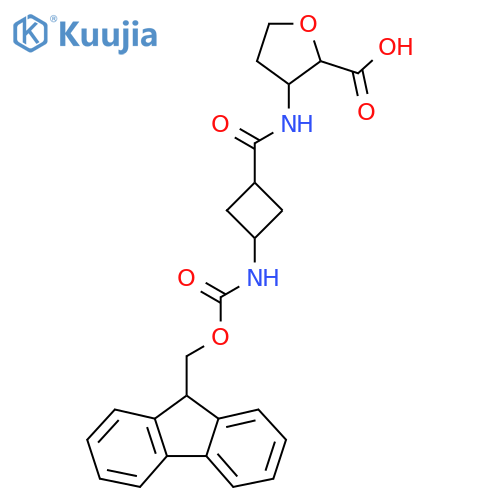 3-(1r,3r)-3-({(9H-fluoren-9-yl)methoxycarbonyl}amino)cyclobutaneamidooxolane-2-carboxylic acid structure