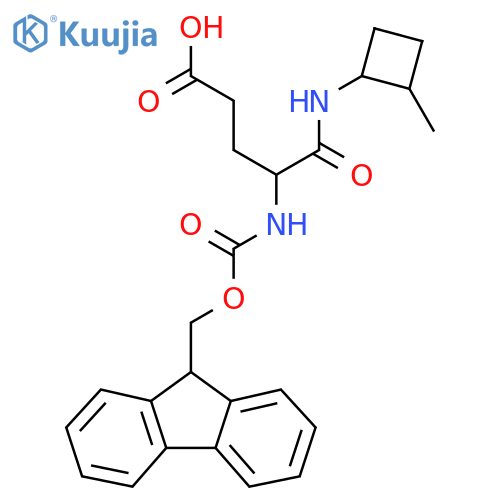 4-({(9H-fluoren-9-yl)methoxycarbonyl}amino)-4-(2-methylcyclobutyl)carbamoylbutanoic acid structure