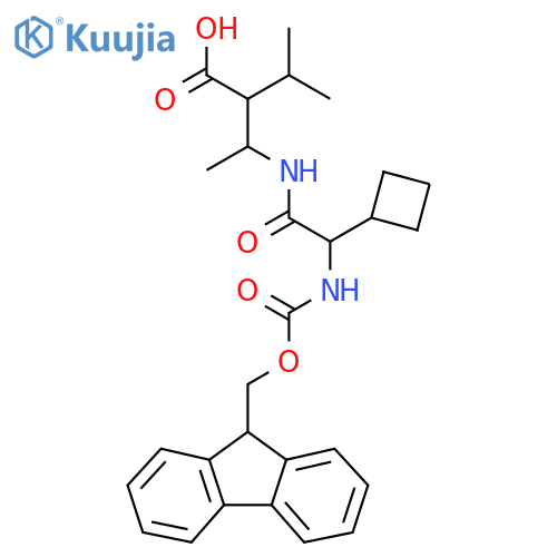 3-2-cyclobutyl-2-({(9H-fluoren-9-yl)methoxycarbonyl}amino)acetamido-2-(propan-2-yl)butanoic acid structure