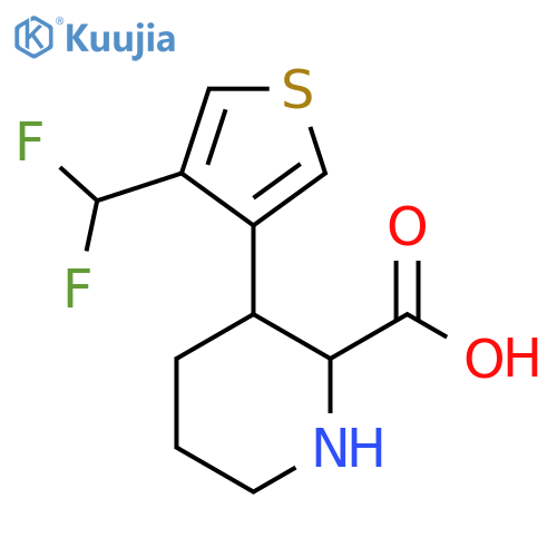 3-4-(difluoromethyl)thiophen-3-ylpiperidine-2-carboxylic acid structure