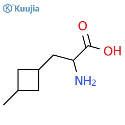 2-amino-3-(3-methylcyclobutyl)propanoic acid structure