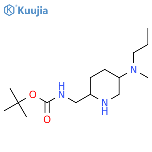 tert-butyl N-({5-methyl(propyl)aminopiperidin-2-yl}methyl)carbamate structure