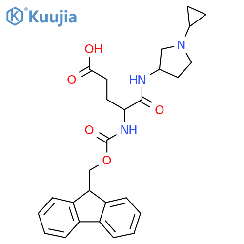 4-(1-cyclopropylpyrrolidin-3-yl)carbamoyl-4-({(9H-fluoren-9-yl)methoxycarbonyl}amino)butanoic acid structure