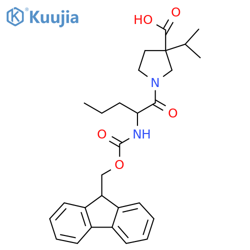 1-2-({(9H-fluoren-9-yl)methoxycarbonyl}amino)pentanoyl-3-(propan-2-yl)pyrrolidine-3-carboxylic acid structure