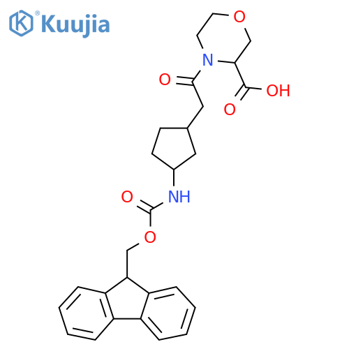4-{2-3-({(9H-fluoren-9-yl)methoxycarbonyl}amino)cyclopentylacetyl}morpholine-3-carboxylic acid structure