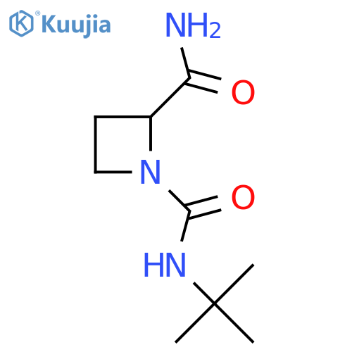 N1-tert-butylazetidine-1,2-dicarboxamide structure