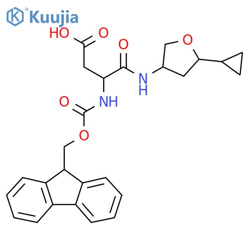 3-(5-cyclopropyloxolan-3-yl)carbamoyl-3-({(9H-fluoren-9-yl)methoxycarbonyl}amino)propanoic acid structure