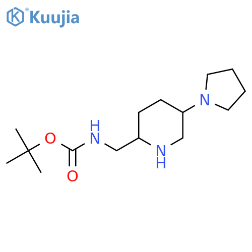 tert-butyl N-{5-(pyrrolidin-1-yl)piperidin-2-ylmethyl}carbamate structure