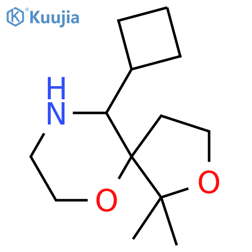 10-cyclobutyl-1,1-dimethyl-2,6-dioxa-9-azaspiro4.5decane structure