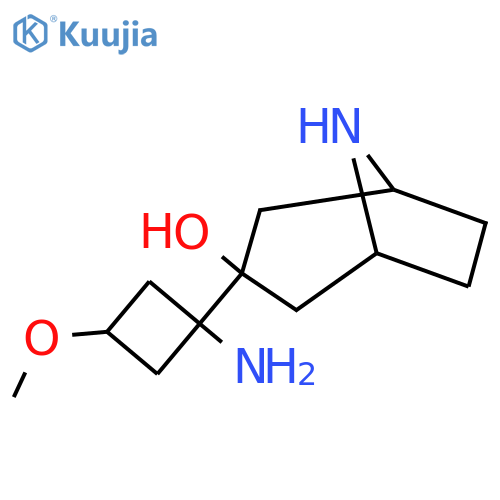 3-(1-amino-3-methoxycyclobutyl)-8-azabicyclo3.2.1octan-3-ol structure