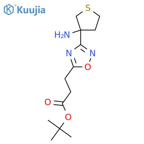 tert-butyl 3-3-(3-aminothiolan-3-yl)-1,2,4-oxadiazol-5-ylpropanoate structure