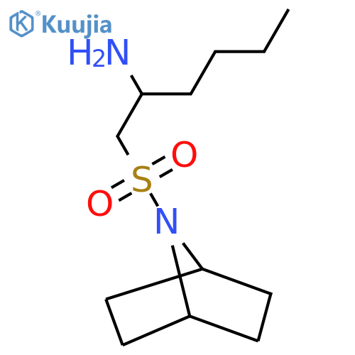 1-{7-azabicyclo2.2.1heptane-7-sulfonyl}hexan-2-amine structure