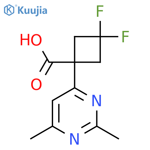 1-(2,6-dimethylpyrimidin-4-yl)-3,3-difluorocyclobutane-1-carboxylic acid structure