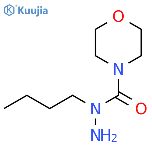N-butylmorpholine-4-carbohydrazide structure