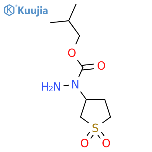 N-(1,1-dioxo-1lambda6-thiolan-3-yl)(2-methylpropoxy)carbohydrazide structure