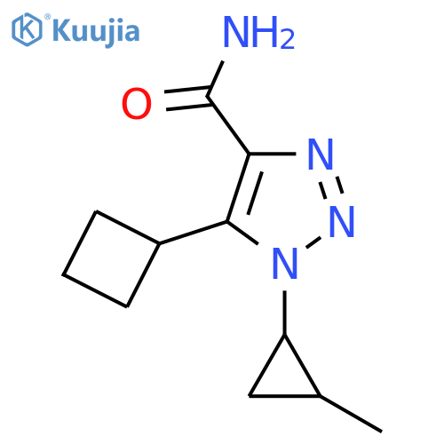 5-cyclobutyl-1-(2-methylcyclopropyl)-1H-1,2,3-triazole-4-carboxamide structure