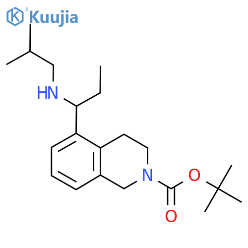 tert-butyl 5-{1-(2-methylpropyl)aminopropyl}-1,2,3,4-tetrahydroisoquinoline-2-carboxylate structure