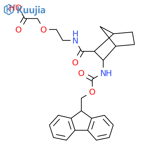 2-(2-{3-({(9H-fluoren-9-yl)methoxycarbonyl}amino)bicyclo2.2.1heptan-2-ylformamido}ethoxy)acetic acid structure