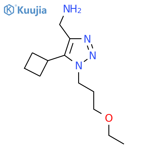 5-cyclobutyl-1-(3-ethoxypropyl)-1H-1,2,3-triazol-4-ylmethanamine structure