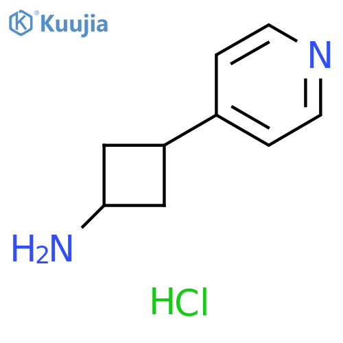3-(pyridin-4-yl)cyclobutan-1-amine dihydrochloride structure