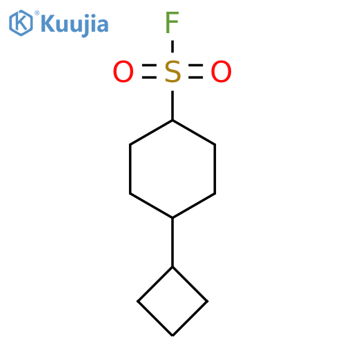 4-cyclobutylcyclohexane-1-sulfonyl fluoride structure