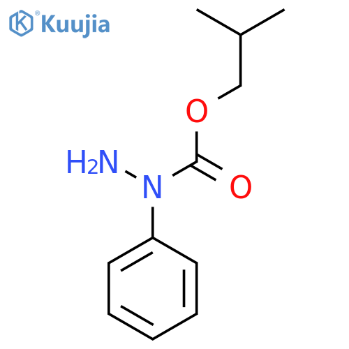 N-phenyl(2-methylpropoxy)carbohydrazide structure