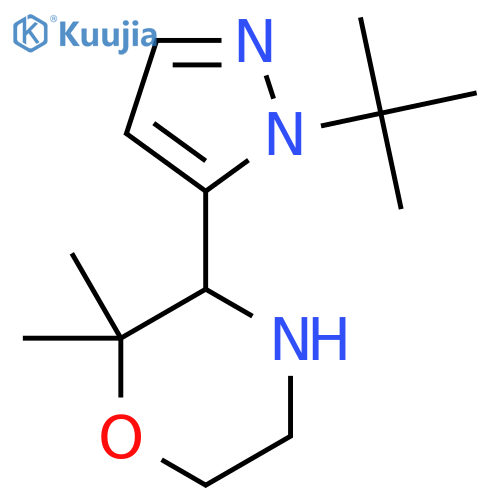 3-(1-tert-butyl-1H-pyrazol-5-yl)-2,2-dimethylmorpholine structure