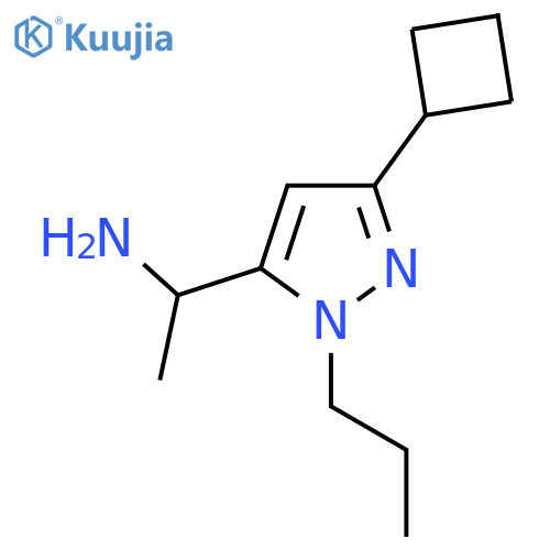 1-(3-cyclobutyl-1-propyl-1H-pyrazol-5-yl)ethan-1-amine structure