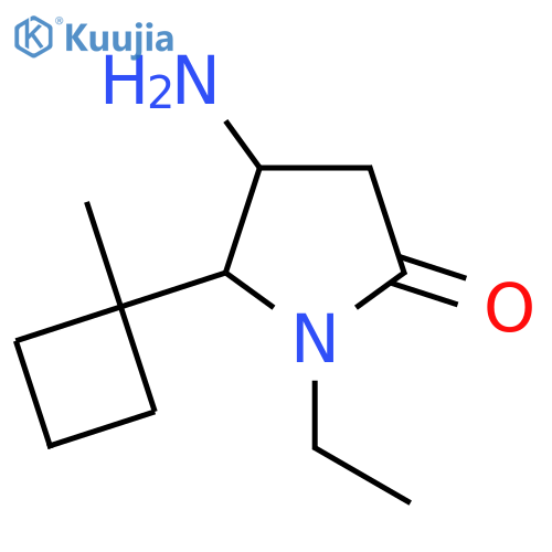 4-amino-1-ethyl-5-(1-methylcyclobutyl)pyrrolidin-2-one structure