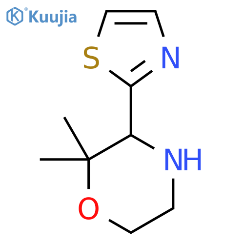 2,2-dimethyl-3-(1,3-thiazol-2-yl)morpholine structure