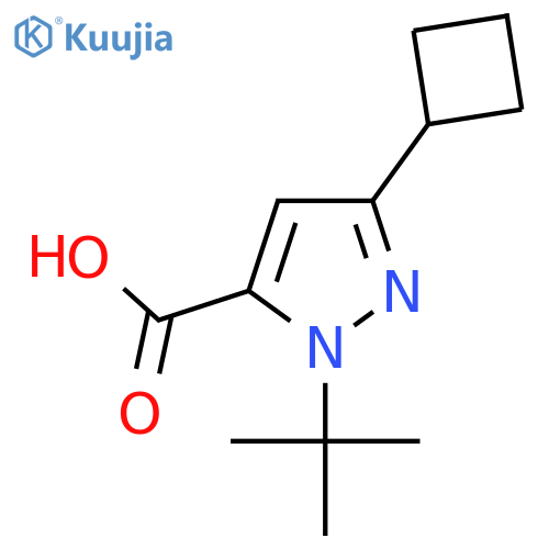 1-tert-butyl-3-cyclobutyl-1H-pyrazole-5-carboxylic acid structure