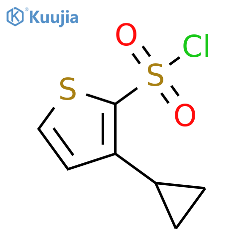 3-cyclopropylthiophene-2-sulfonyl chloride structure